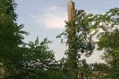 IMG-20240716-WA0019